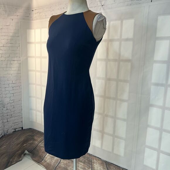 Lauren Ralph Lauren Sleeveless brown leather trim sheath Dress Size 4P - Picture 3 of 8